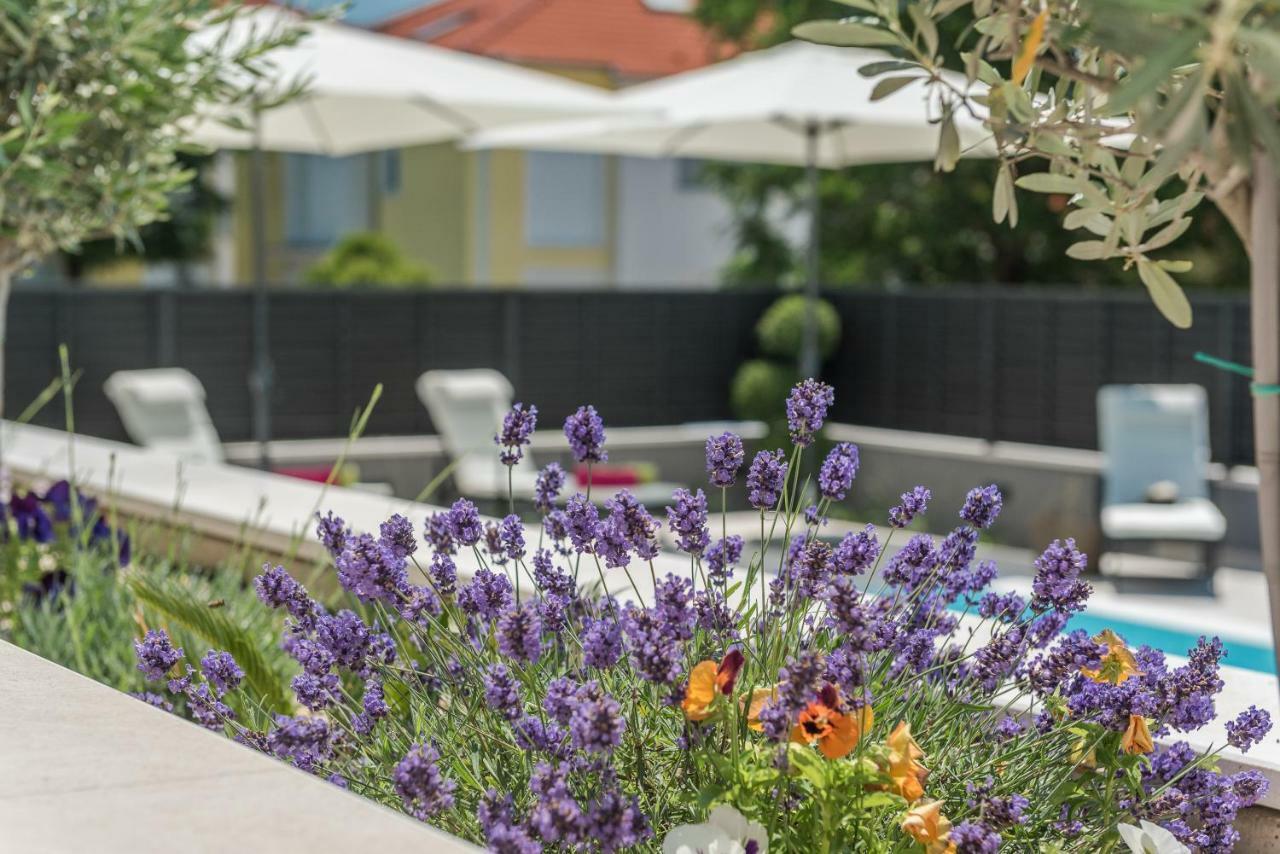 Villa Franica Zadar Dış mekan fotoğraf